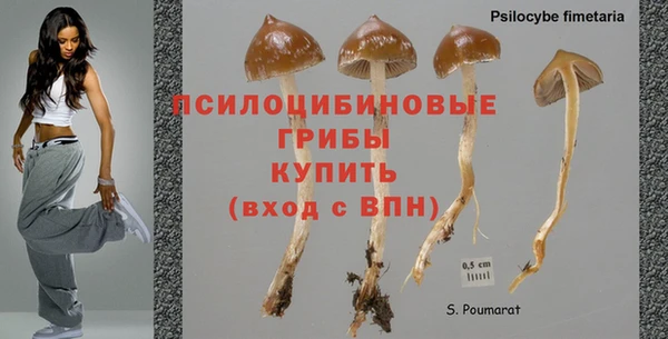 соль ск Абинск