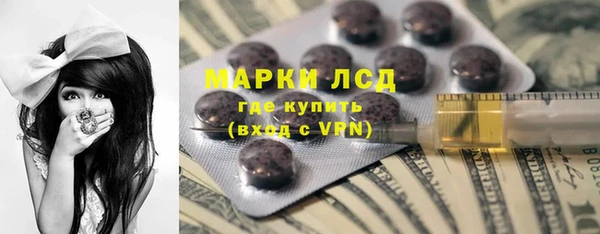 тгк Снежногорск