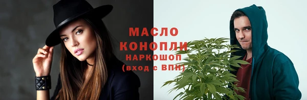 тгк Снежногорск
